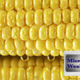 Extreme close-up of an ear of corn